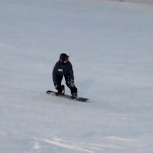 Meet your Posher, Brady